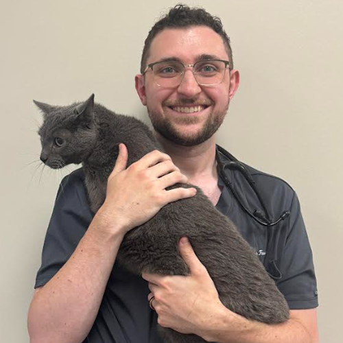 Dr. Stephen Ferrara